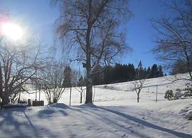 Comfortable Apartment in the Black Forest