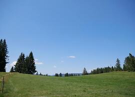 Comfortable Apartment in the Black Forest