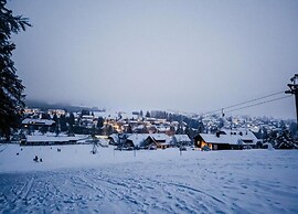 Comfortable Apartment in the Black Forest