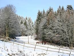 Comfortable Apartment in the Black Forest