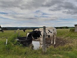 Beautiful and Authentic Cottage
