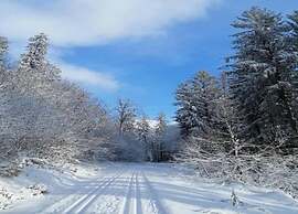 Apartment in Heinrichskirchen