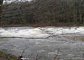 Apartment in Heinrichskirchen