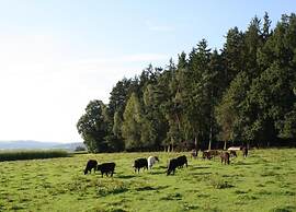 Apartment in Heinrichskirchen