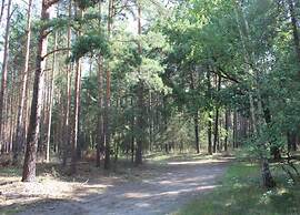 Waldblick Forest Retreat