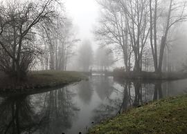 Waldblick Forest Retreat