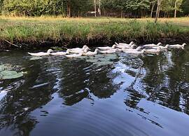 Waldblick Forest Retreat