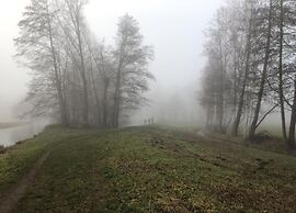 Waldblick Forest Retreat