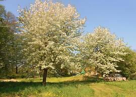 Waldblick Forest Retreat