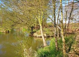 Waldblick Forest Retreat