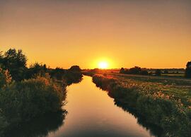 Waldblick Forest Retreat