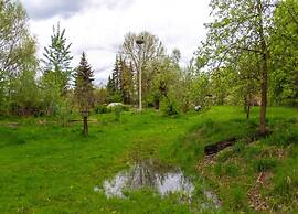 Waldblick Forest Retreat