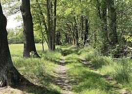 Waldblick Forest Retreat