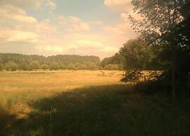 Waldblick Forest Retreat