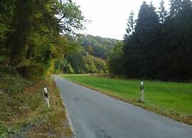 Spacious Apartment in Pracht near Forest