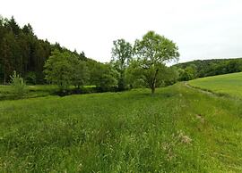 Spacious Apartment in Pracht near Forest