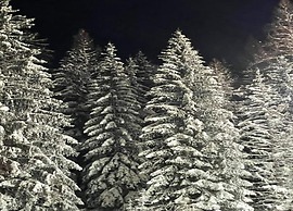 Quaint Apartment in Eimelrod near Lake & Water Sports