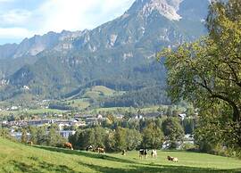 Apartment Near the Feldberg ski Area