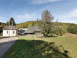 Apartment Near the Feldberg ski Area