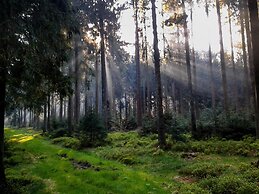 Holiday Home in Bullange With Sauna