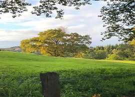 Lovely Cottage in Waimes near Lake