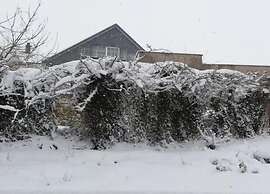 Lovely Cottage in Waimes near Lake