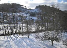 Flat Near the ski Area in Medebach