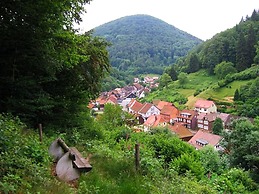 Detached House in the Harz Region With a Garden