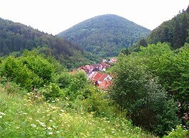 Detached House in the Harz Region With a Garden