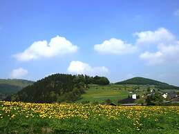 Bright Apartment Near Willingen With Terrace