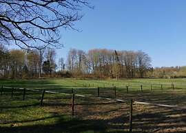 Chalet Near Durbuy With Private Garden