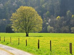 Cozy Holiday Home near Forest in Bovigny