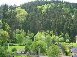 Attractive Villa With Garden in Borstendorf