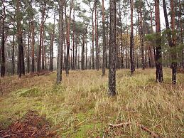Holiday Home in the Forest
