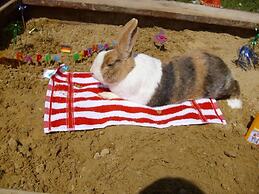 Quiet Holiday Home With Terrace