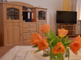 Quiet Holiday Home With Terrace
