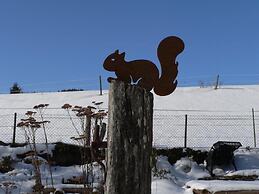 Quiet Holiday Home With Terrace