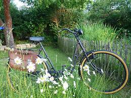 Quiet Holiday Home With Terrace