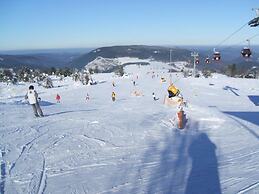 Quiet Holiday Home With Terrace