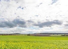 Comfort in Franconian Hills