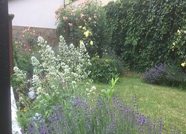 Comfort in Franconian Hills