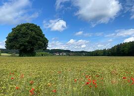 Comfort in Franconian Hills