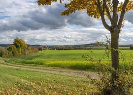 Comfort in Franconian Hills