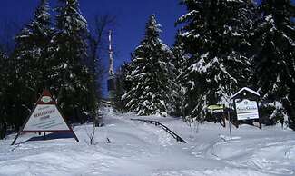 Apartment in Bad Tabarz in the Forest