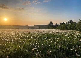 Tranquil Stay in Dornthal