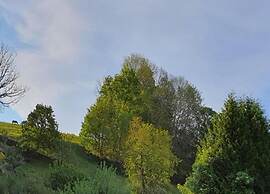 Tranquil Stay in Dornthal