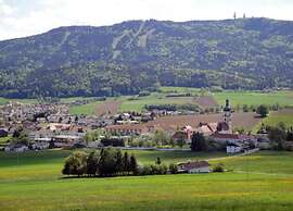 Apartment on a Farm Near the ski Area