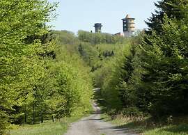 Apartment Near the Forest