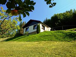 Quiet Home Near Vessertal