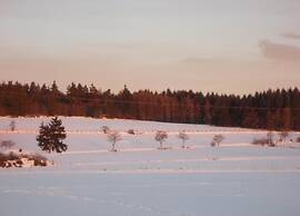 Holiday Flat in the Sauerland With Terrace